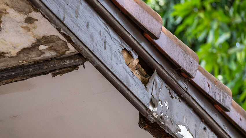 Damaged-Roof-Rotten-Wood-AdobeStock_1841336066