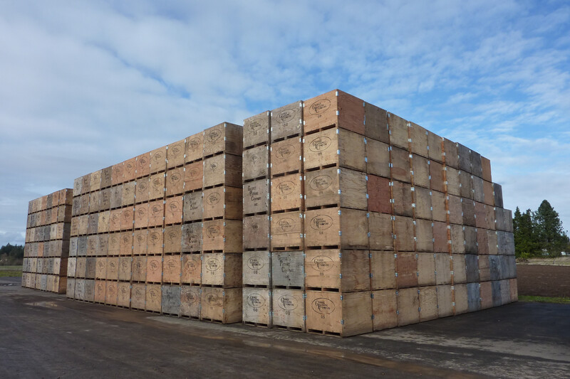 Bins-Crates